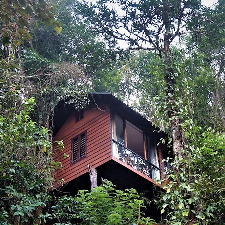 Tree6 Wayanad Villa Vythiri Dış mekan fotoğraf