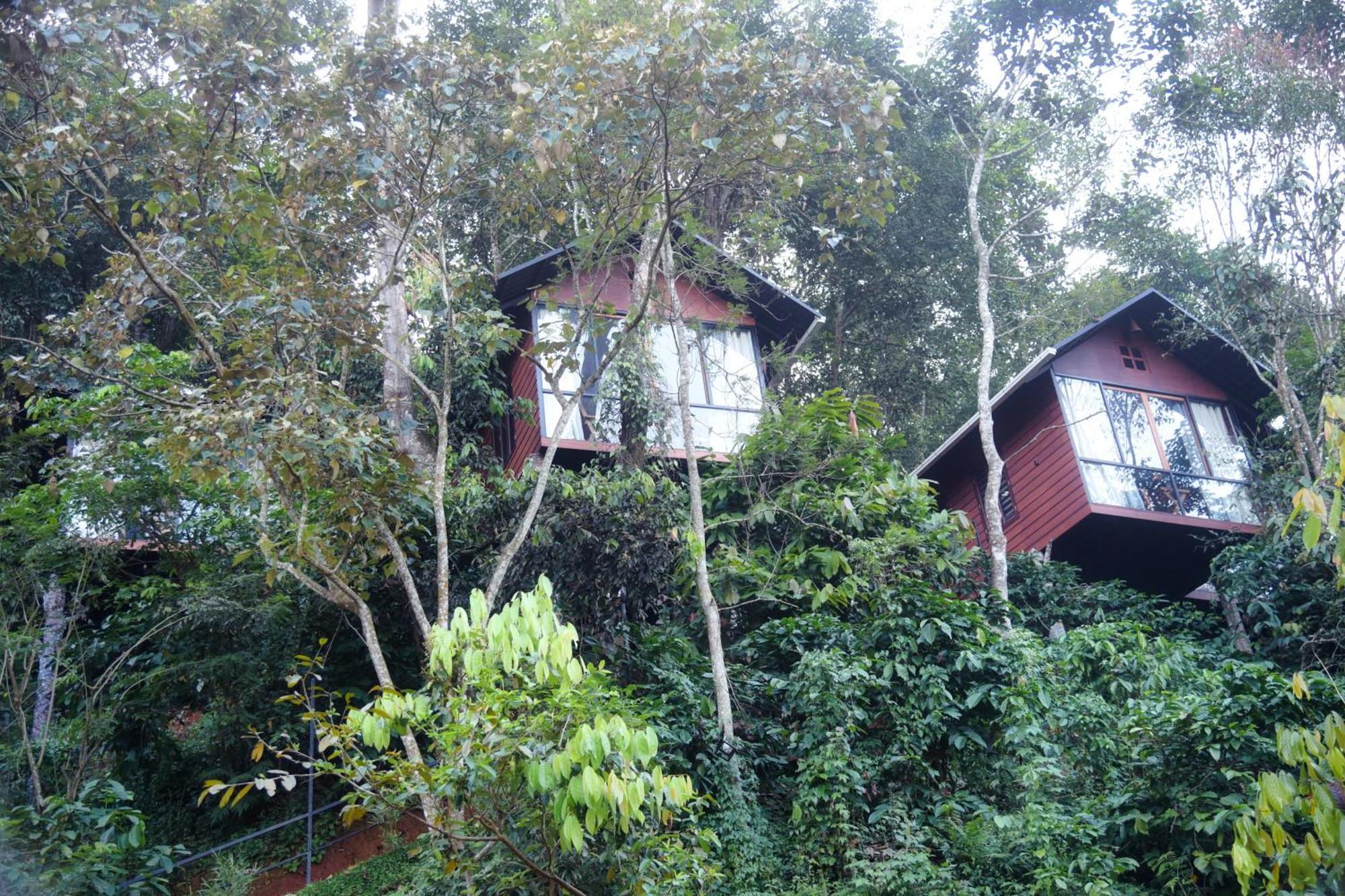 Tree6 Wayanad Villa Vythiri Dış mekan fotoğraf