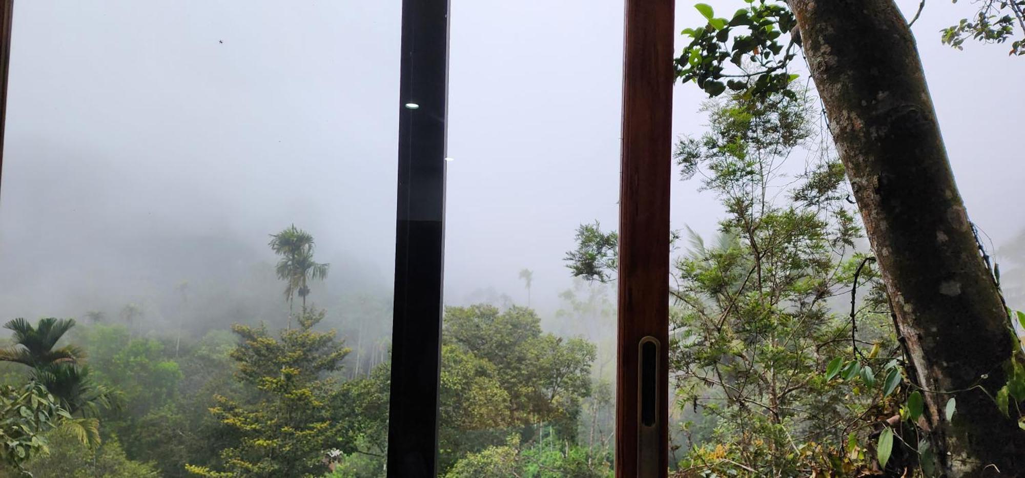 Tree6 Wayanad Villa Vythiri Dış mekan fotoğraf